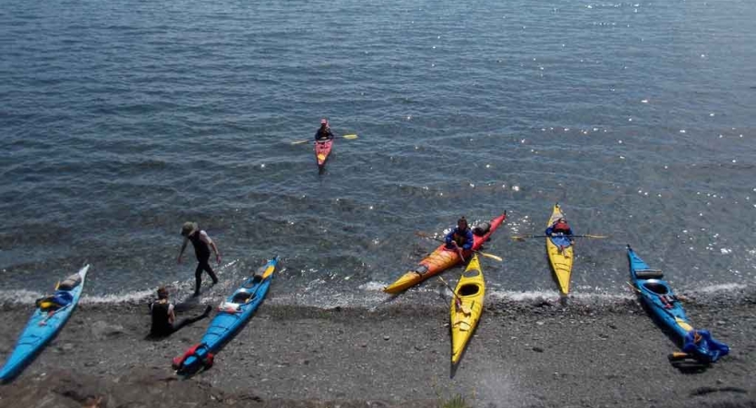 a group of kayaks rest on the shore in the pacific northwest
